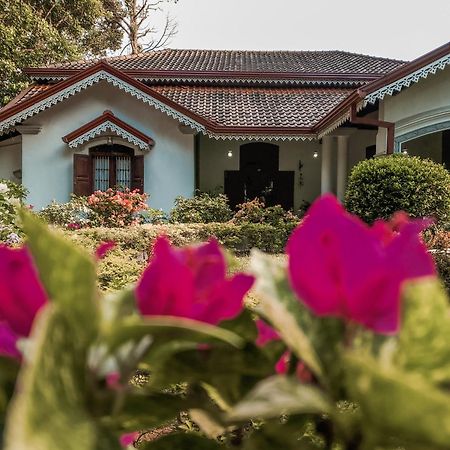 Kithulvilla Holiday Bungalow キトゥルガラ エクステリア 写真