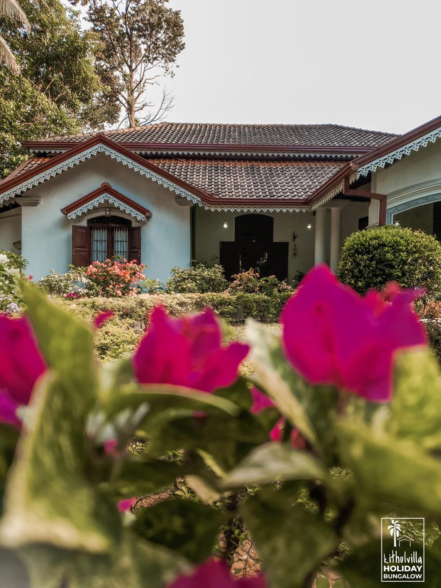 Kithulvilla Holiday Bungalow キトゥルガラ エクステリア 写真