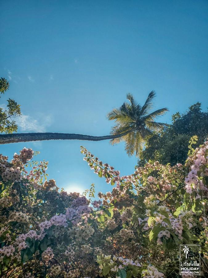 Kithulvilla Holiday Bungalow キトゥルガラ エクステリア 写真